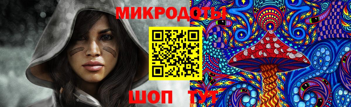 Ефремов  Псилоцибиновые грибы мухоморы  Вход с VPN  Псилоцибиновые грибы мухоморы 