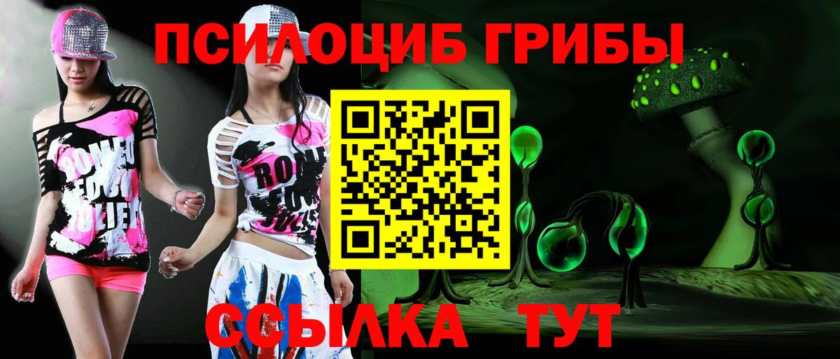 Канабис  A PVP СК кристаллы  ГАШ  Героин  МЕФ   Ефремов  Экстази  COCAIN  КЕТАМИН  ГАШ  НБОМе  Вход с VPN  Сколько стоит 